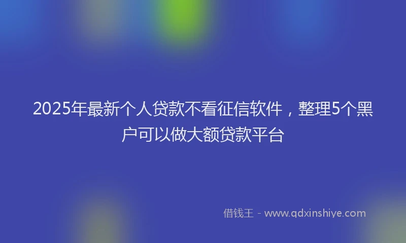 2025年最新个人贷款不看征信软件，整理5个黑户可以做大额贷款平台