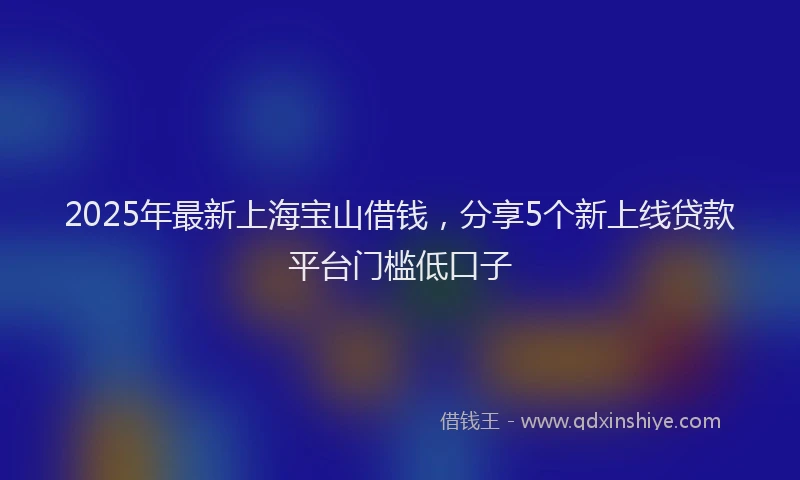 2025年最新上海宝山借钱，分享5个新上线贷款平台门槛低口子