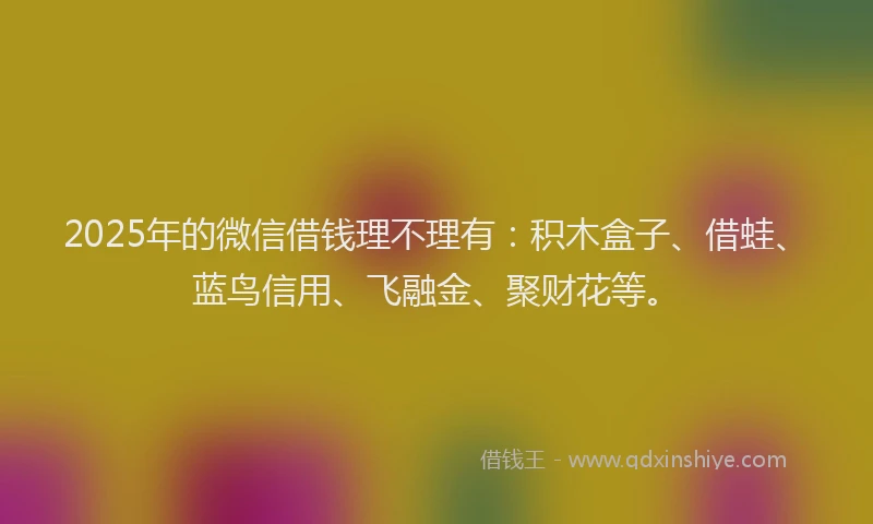 2025年的微信借钱理不理有:积木盒子、借蛙、蓝鸟信用、飞融金、聚财花等。