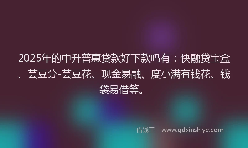 2025年的中升普惠贷款好下款吗有：快融贷宝盒、芸豆分-芸豆花、现金易融、度小满有钱花、钱袋易借等。