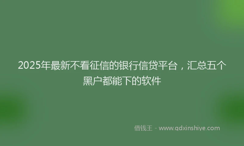 2025年最新不看征信的银行信贷平台，汇总五个黑户都能下的软件