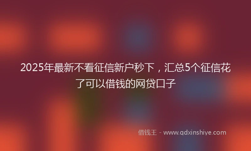 2025年最新不看征信新户秒下，汇总5个征信花了可以借钱的网贷口子