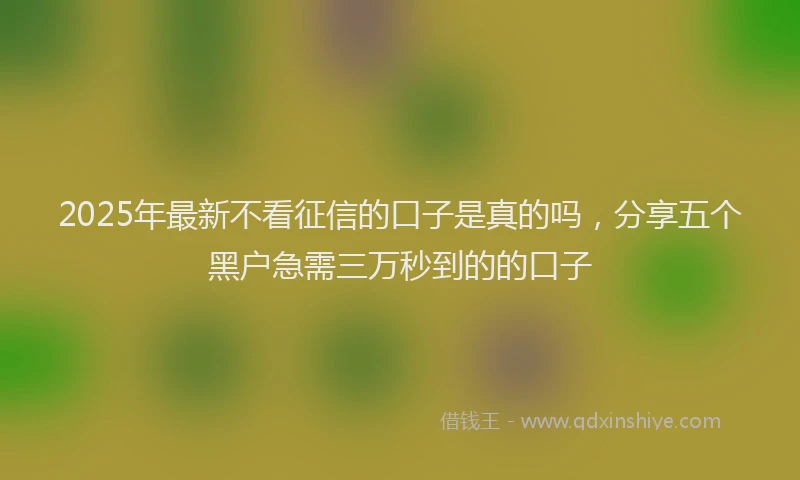 2025年最新不看征信的口子是真的吗，分享五个黑户急需三万秒到的的口子