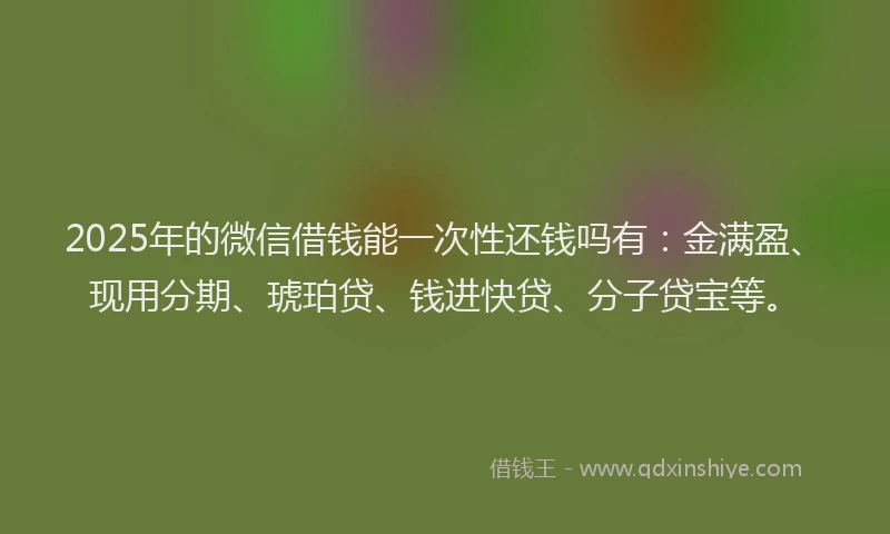 2025年的微信借钱能一次性还钱吗有：金满盈、现用分期、琥珀贷、钱进快贷、分子贷宝等。