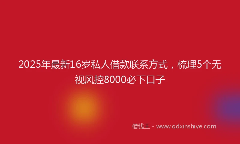 2025年最新16岁私人借款联系方式，梳理5个无视风控8000必下口子
