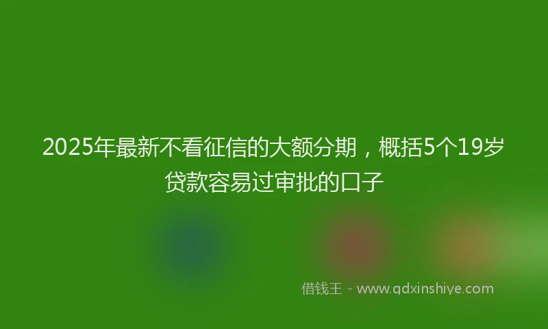 2025年最新不看征信的大额分期，概括5个19岁贷款容易过审批的口子