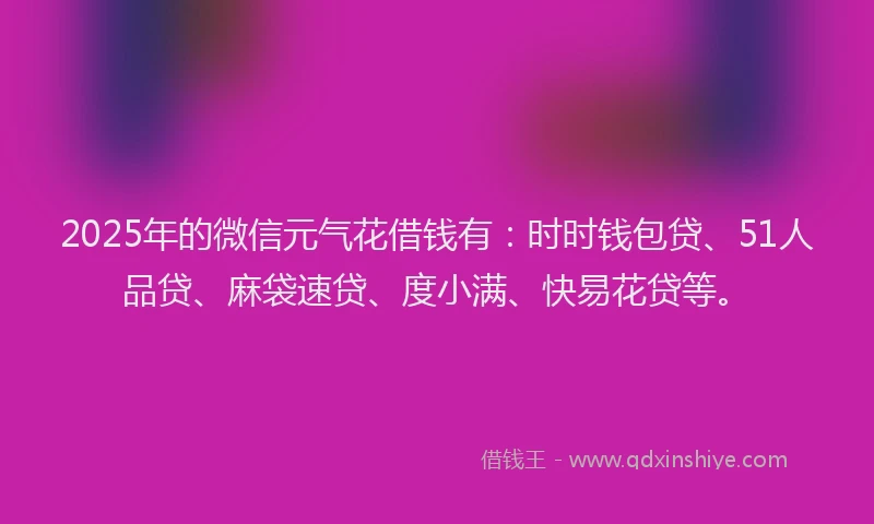 2025年的微信元气花借钱有：时时钱包贷、51人品贷、麻袋速贷、度小满、快易花贷等。