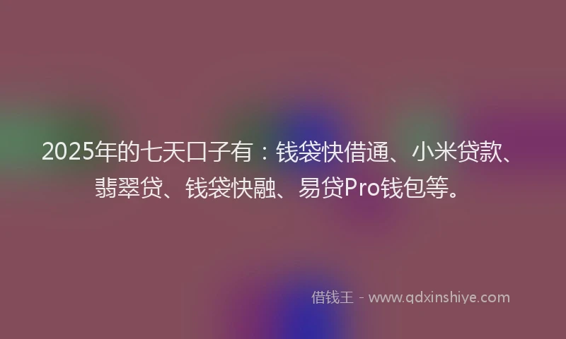 2025年的七天口子有：钱袋快借通、小米贷款、翡翠贷、钱袋快融、易贷Pro钱包等。