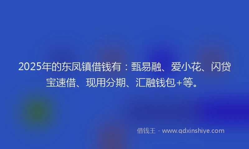 2025年的东凤镇借钱有：甄易融、爱小花、闪贷宝速借、现用分期、汇融钱包+等。