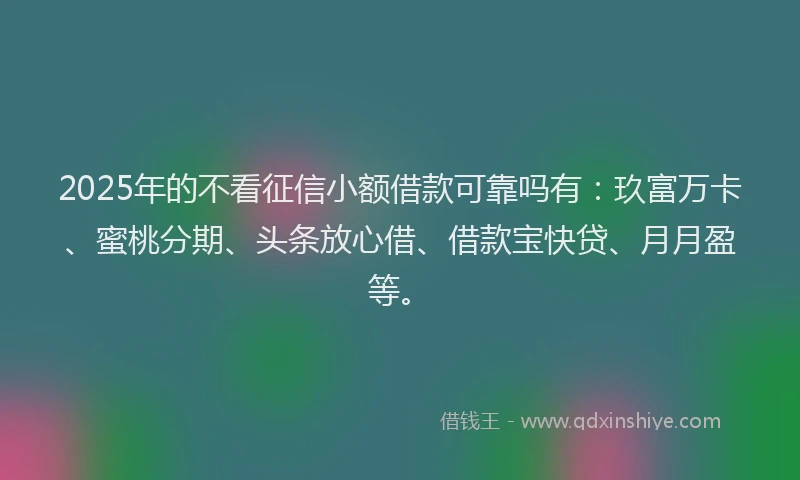 2025年的不看征信小额借款可靠吗有：玖富万卡、蜜桃分期、头条放心借、借款宝快贷、月月盈等。