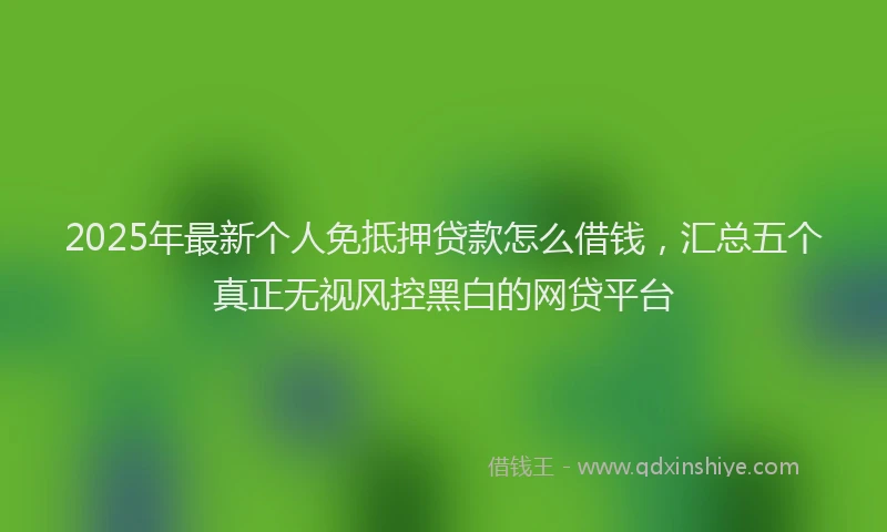 2025年最新个人免抵押贷款怎么借钱，汇总五个真正无视风控黑白的网贷平台