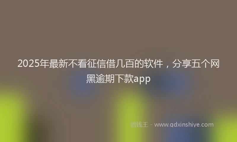 2025年最新不看征信借几百的软件，分享五个网黑逾期下款app