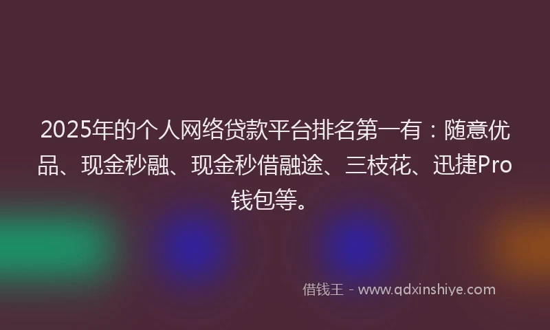 2025年的个人网络贷款平台排名第一有：随意优品、现金秒融、现金秒借融途、三枝花、迅捷Pro钱包等。
