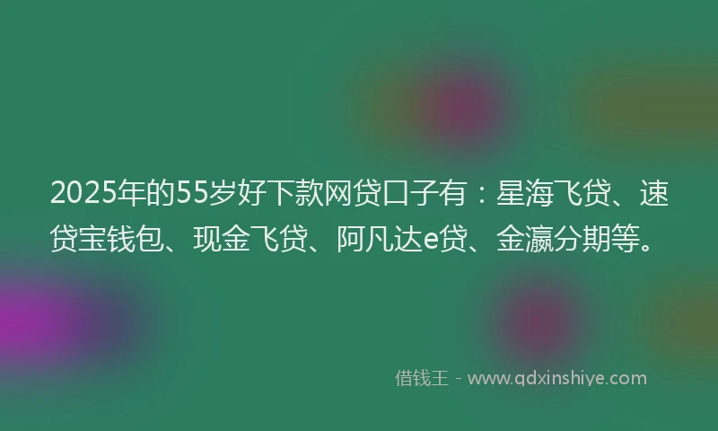 2025年的55岁好下款网贷口子有：星海飞贷、速贷宝钱包、现金飞贷、阿凡达e贷、金瀛分期等。