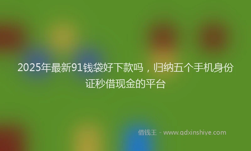 2025年最新91钱袋好下款吗，归纳五个手机身份证秒借现金的平台