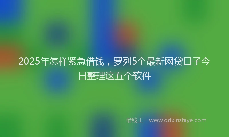 2025年怎样紧急借钱，罗列5个最新网贷口子今日整理这五个软件