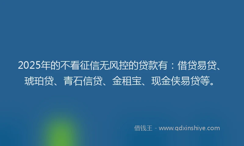 2025年的不看征信无风控的贷款有：借贷易贷、琥珀贷、青石信贷、金租宝、现金侠易贷等。