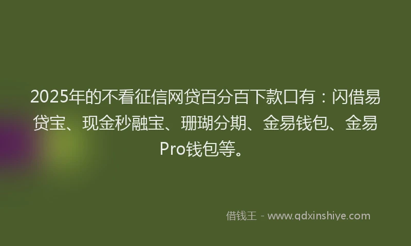2025年的不看征信网贷百分百下款口有：闪借易贷宝、现金秒融宝、珊瑚分期、金易钱包、金易Pro钱包等。