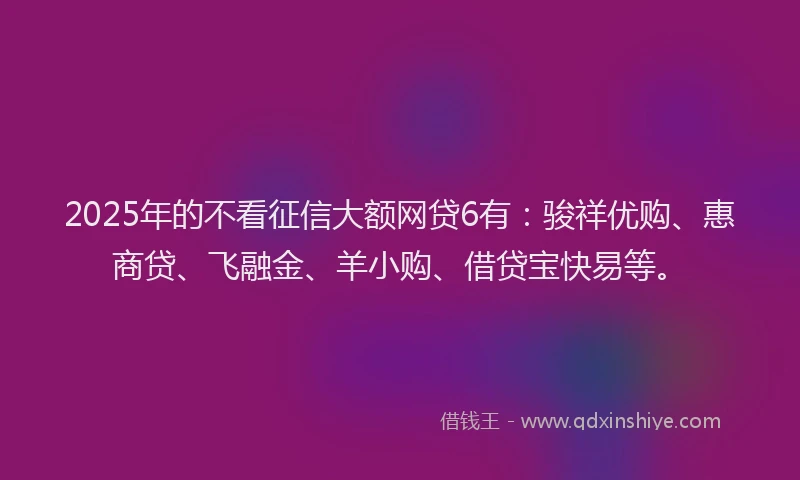 2025年的不看征信大额网贷6有：骏祥优购、惠商贷、飞融金、羊小购、借贷宝快易等。