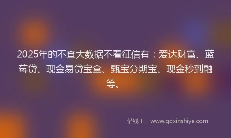 2025年的不查大数据不看征信有：爱达财富、蓝莓贷、现金易贷宝盒、甄宝分期宝、现金秒到融等。