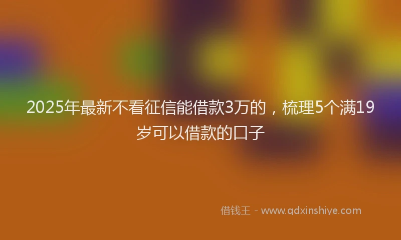 2025年最新不看征信能借款3万的，梳理5个满19岁可以借款的口子