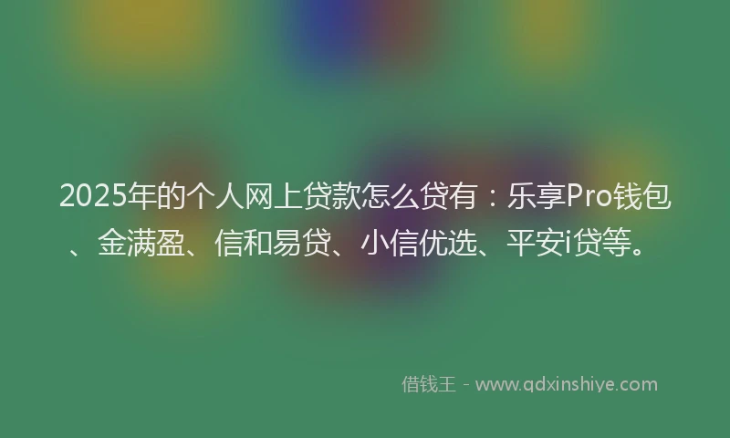 2025年的个人网上贷款怎么贷有：乐享Pro钱包、金满盈、信和易贷、小信优选、平安i贷等。