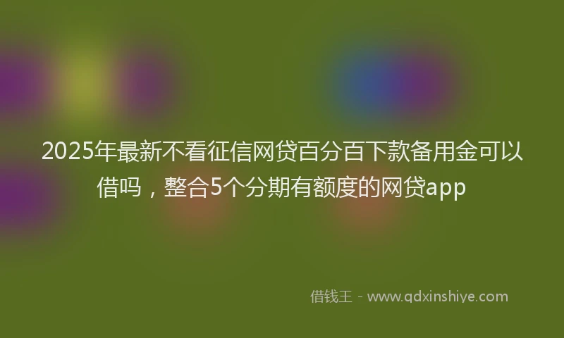 2025年最新不看征信网贷百分百下款备用金可以借吗，整合5个分期有额度的网贷app