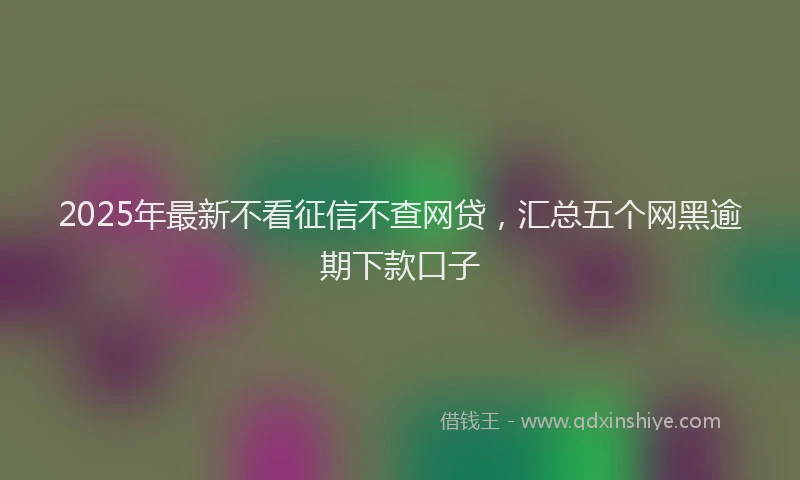 2025年最新不看征信不查网贷，汇总五个网黑逾期下款口子