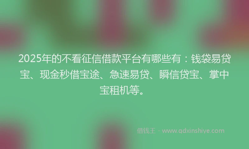 2025年的不看征信借款平台有哪些有：钱袋易贷宝、现金秒借宝途、急速易贷、瞬信贷宝、掌中宝租机等。