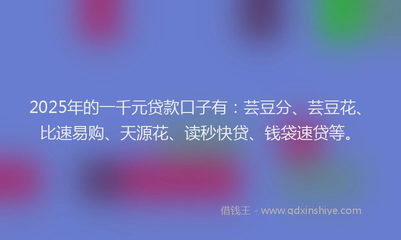 2025年的一千元贷款口子有：芸豆分、芸豆花、比速易购、天源花、读秒快贷、钱袋速贷等。