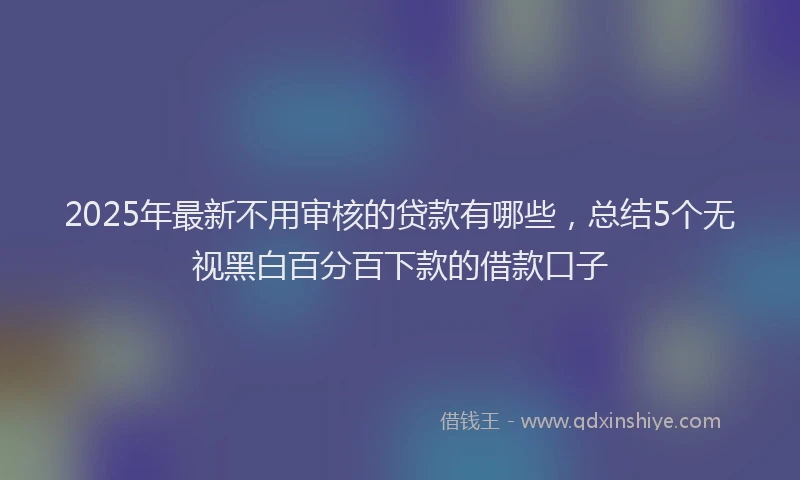 2025年最新不用审核的贷款有哪些，总结5个无视黑白百分百下款的借款口子