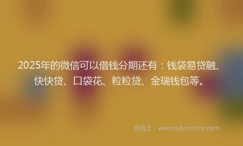 2025年的微信可以借钱分期还有：钱袋易贷融、快快贷、口袋花、粒粒贷、金瑞钱包等。