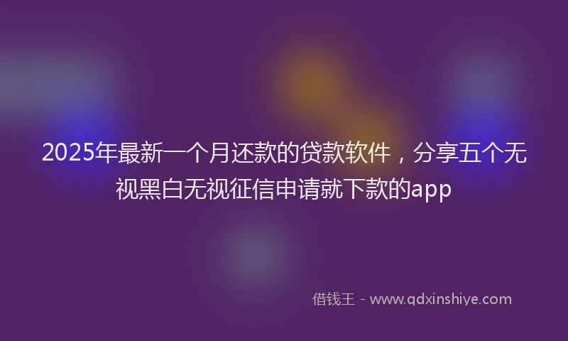 2025年最新一个月还款的贷款软件，分享五个无视黑白无视征信申请就下款的app