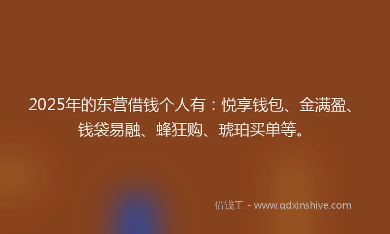 2025年的东营借钱个人有：悦享钱包、金满盈、钱袋易融、蜂狂购、琥珀买单等。