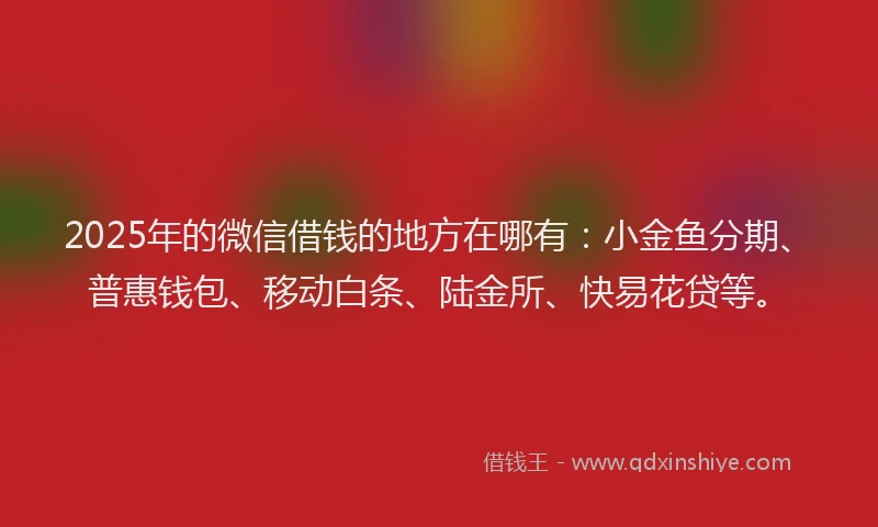 2025年的微信借钱的地方在哪有：小金鱼分期、普惠钱包、移动白条、陆金所、快易花贷等。