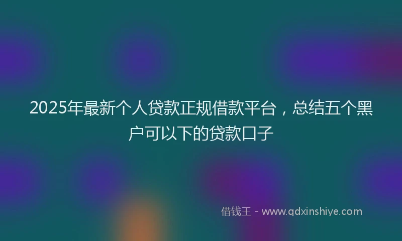 2025年最新个人贷款正规借款平台，总结五个黑户可以下的贷款口子