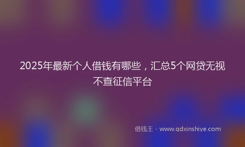 2025年最新个人借钱有哪些，汇总5个网贷无视不查征信平台