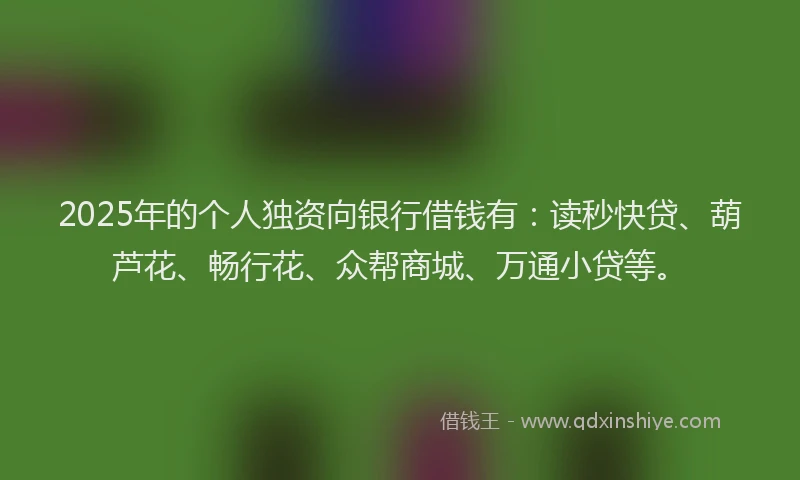 2025年的个人独资向银行借钱有：读秒快贷、葫芦花、畅行花、众帮商城、万通小贷等。
