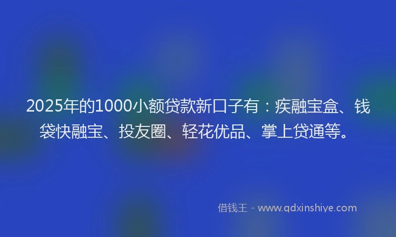 2025年的1000小额贷款新口子有：疾融宝盒、钱袋快融宝、投友圈、轻花优品、掌上贷通等。