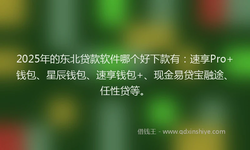 2025年的东北贷款软件哪个好下款有：速享Pro+钱包、星辰钱包、速享钱包+、现金易贷宝融途、任性贷等。