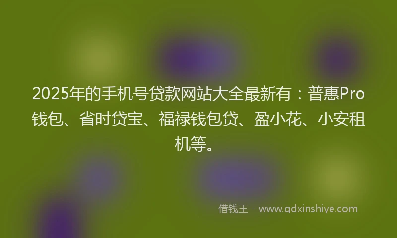 2025年的手机号贷款网站大全最新有：普惠Pro钱包、省时贷宝、福禄钱包贷、盈小花、小安租机等。