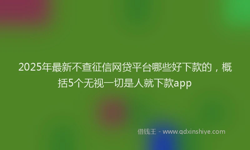 2025年最新不查征信网贷平台哪些好下款的，概括5个无视一切是人就下款app