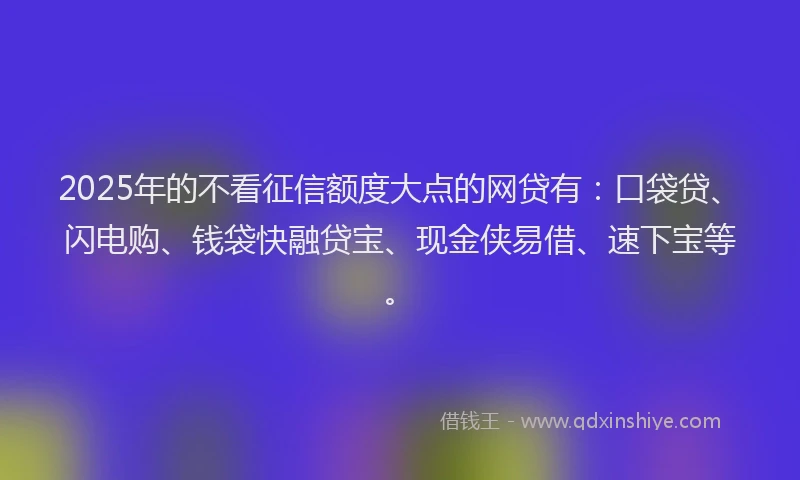2025年的不看征信额度大点的网贷有：口袋贷、闪电购、钱袋快融贷宝、现金侠易借、速下宝等。