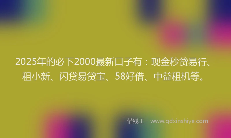 2025年的必下2000最新口子有：现金秒贷易行、租小新、闪贷易贷宝、58好借、中益租机等。