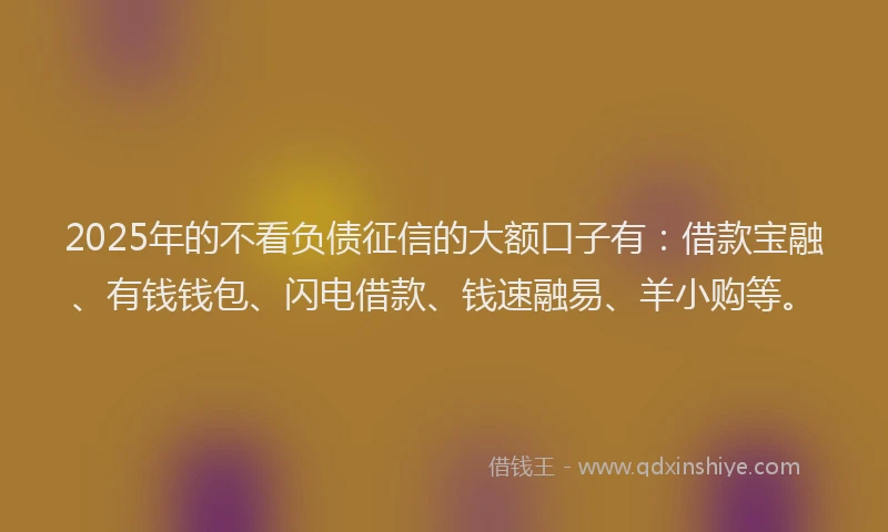 2025年的不看负债征信的大额口子有：借款宝融、有钱钱包、闪电借款、钱速融易、羊小购等。