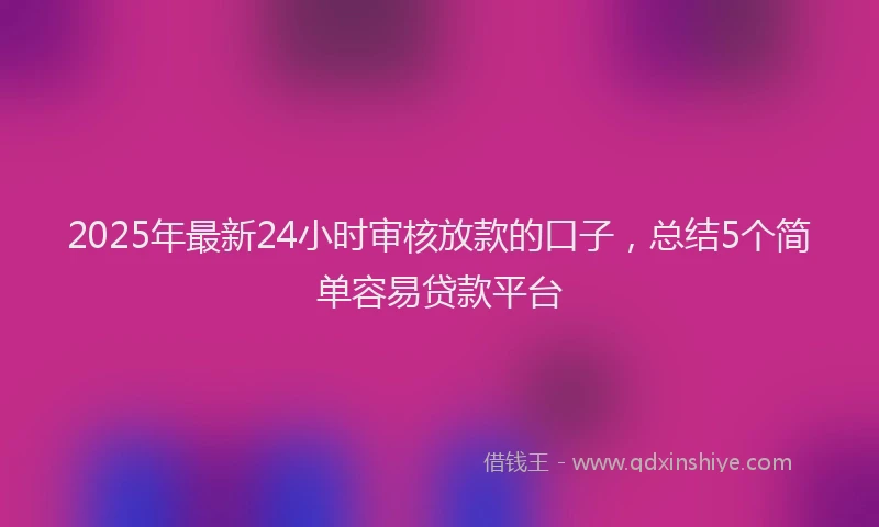 2025年最新24小时审核放款的口子，总结5个简单容易贷款平台