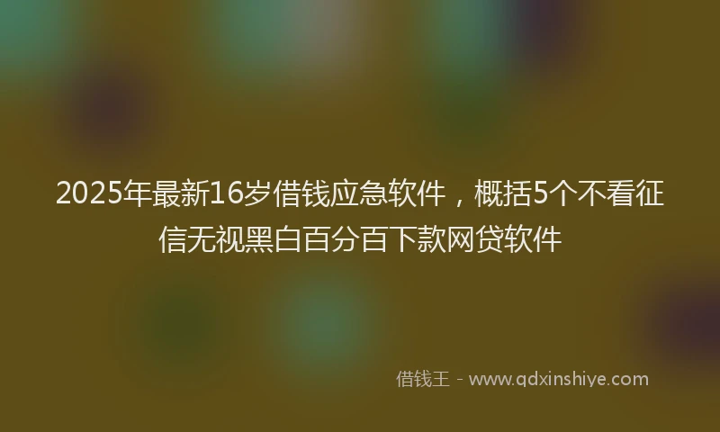 2025年最新16岁借钱应急软件，概括5个不看征信无视黑白百分百下款网贷软件