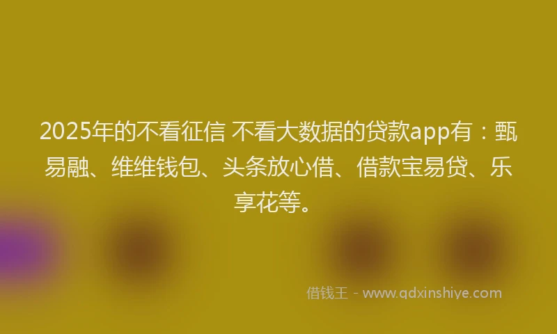 2025年的不看征信 不看大数据的贷款app有：甄易融、维维钱包、头条放心借、借款宝易贷、乐享花等。