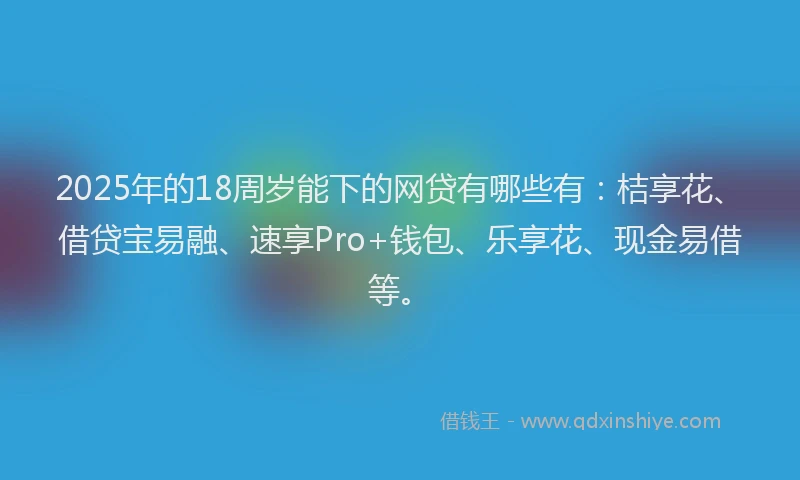 2025年的18周岁能下的网贷有哪些有：桔享花、借贷宝易融、速享Pro+钱包、乐享花、现金易借等。