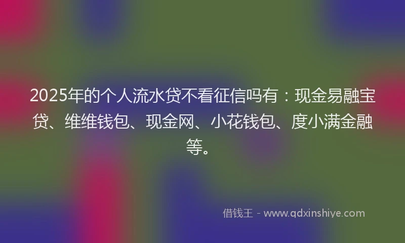 2025年的个人流水贷不看征信吗有：现金易融宝贷、维维钱包、现金网、小花钱包、度小满金融等。
